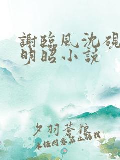 谢临风沈砚卿梁明昭小说