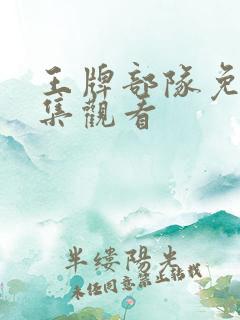 王牌部队免费全集观看