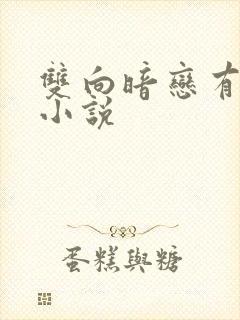 双向暗恋有多甜小说