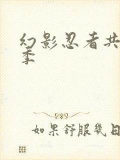 幻影忍者共有几季