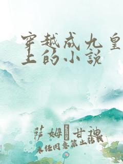 穿越成九皇子身上的小说