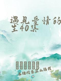 遇见爱情的利先生40集