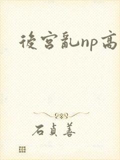后宫乱np高h