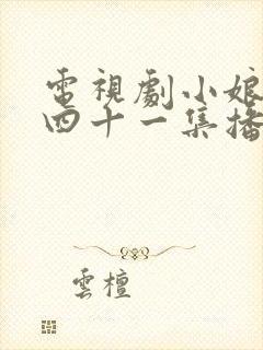 电视剧小娘惹第四十一集播放