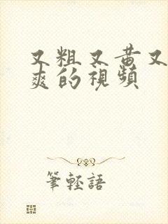 又粗又黄又大又爽的视频