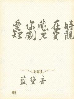 爱你藏在时光里短剧免费观看