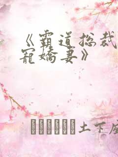 《霸道总裁的独宠娇妻》