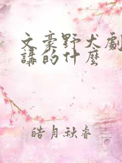 文豪野犬剧场版讲的什么