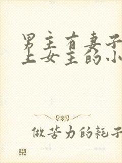 男主有妻子却爱上女主的小说