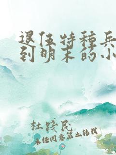 退伍特种兵穿越到明末的小说