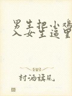 男生把小鸡鸡插入女生逼里