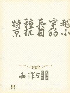 特种兵穿越到南京抗日的小说