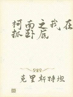 柯南之我在酒厂抓卧底