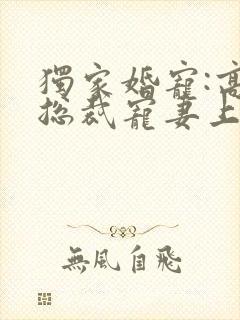 独家婚宠:高冷总裁宠妻上瘾