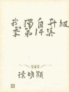 我独自升级第二季第14集