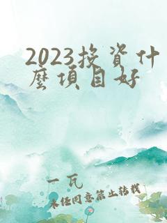 2023投资什么项目好