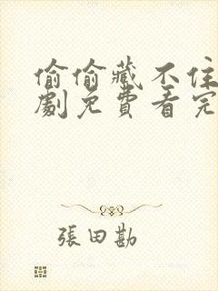 偷偷藏不住电视剧免费看完整版