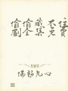 偷偷藏不住电视剧全集免费收看