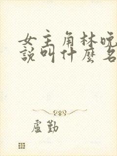 女主角林晚的小说叫什么名字