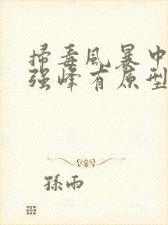 扫毒风暴中的林强峰有原型吗