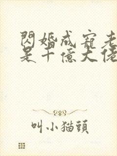 闪婚成宠老公竟是千亿大佬小说