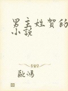 男主姓贺的所有小说