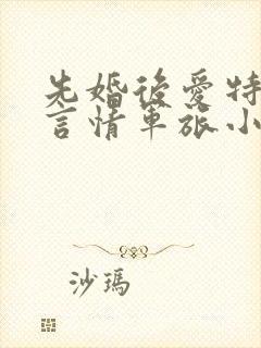 先婚后爱特种兵言情军旅小说