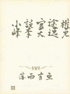 小说官途权力巅峰李天逸免费阅读