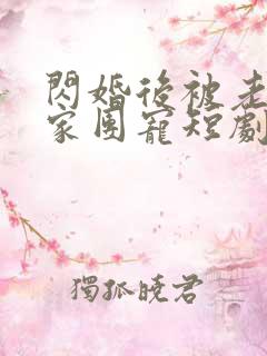 闪婚后被老公全家团宠短剧全集