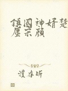 镇国神婿楚尘楚尘宋颜