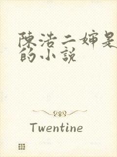 陈浩二婶是哑巴的小说