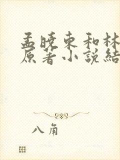 孟晓东和林霖的原著小说结局