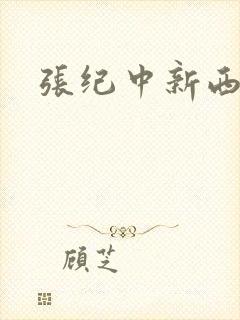 张纪中新西游记