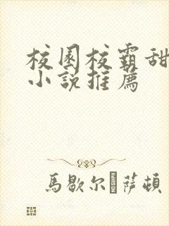 校园校霸甜宠文小说推荐