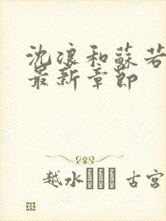 沈浪和苏若雪的最新章节