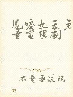 凤唳九天免费观看电视剧