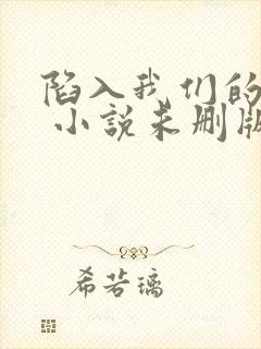 陷入我们的热恋 小说未删版下载