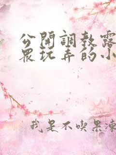 公开调教露出当众玩弄的小说