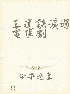 王道铁演过哪些电视剧