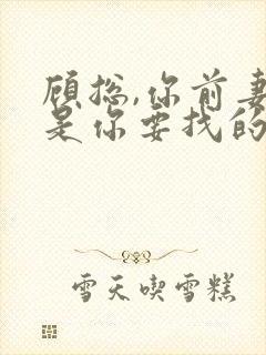 顾总,你前妻就是你要找的人 短剧