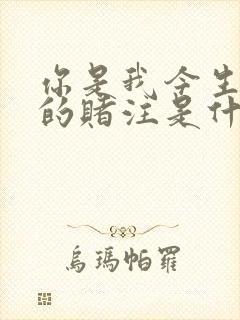 你是我今生唯一的赌注是什么歌