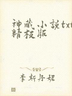 神藏小说txt精校版