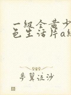 一级全黄少妇性色生活片a级