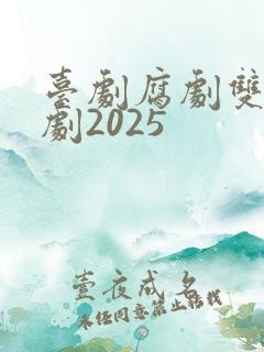 台剧腐剧双男主剧2025