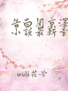 告白周京泽许随小说最新章节在线