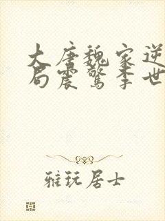 大唐魏家逆子开局震惊李世民