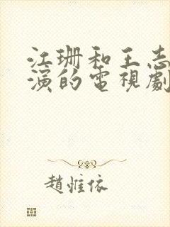 江珊和王志文主演的电视剧有哪些