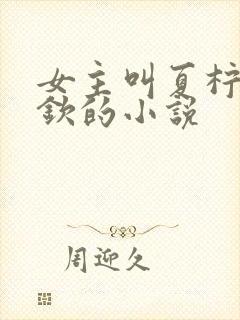 女主叫夏柠宋少钦的小说