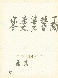 你老婆掉了小说全文免费阅读