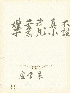 嫂子我真不是傻子叶凡小说